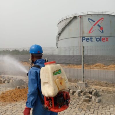 General Pest control Treatment at Pet Olex