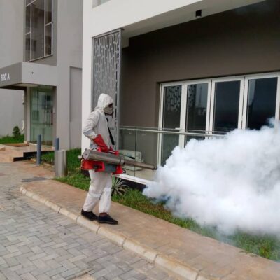 Thermal Fogging: Control of Flying insects